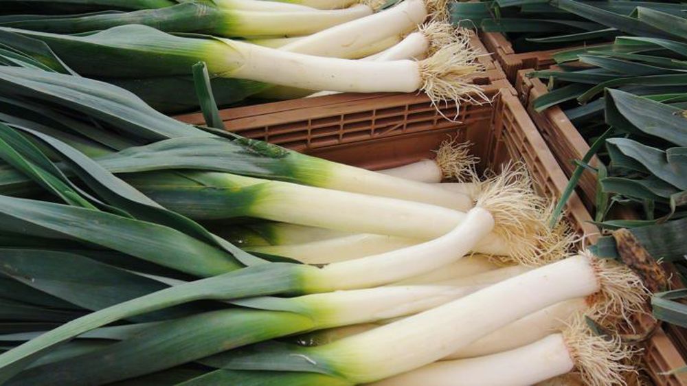 Les poireaux profitent des confinements