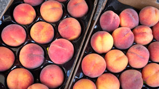 Des fruits avec moins de phytos Des fruits avec moins de phytos