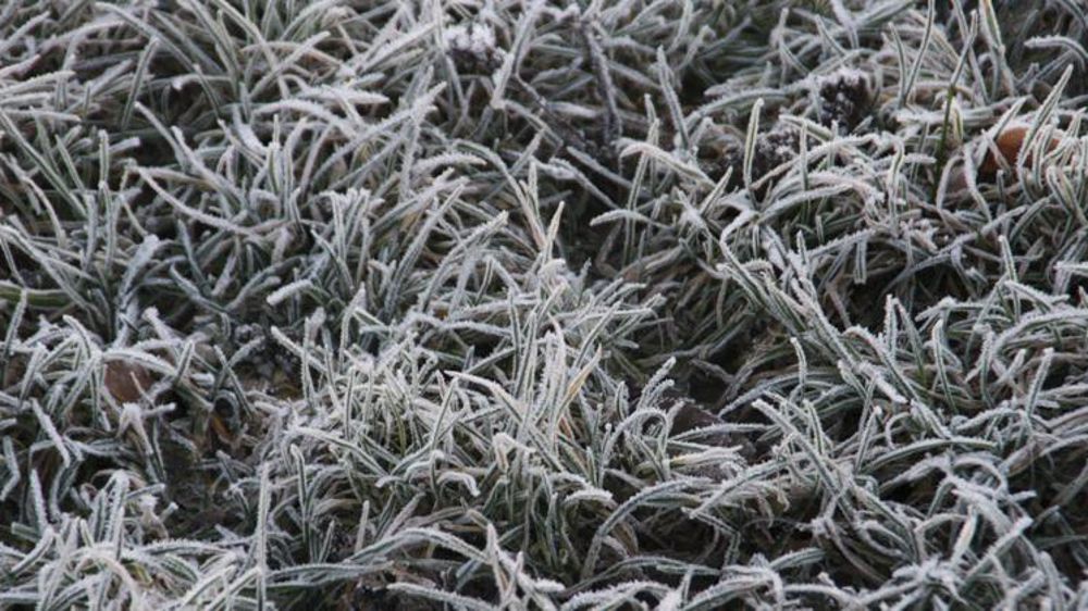 « Les espèces prairiales marquent un coup d’arrêt »