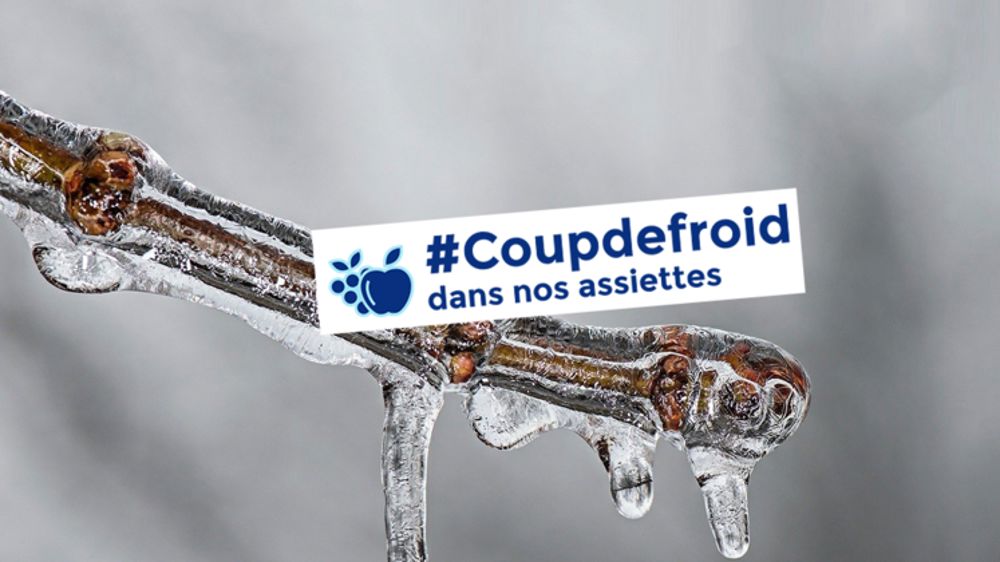 Les consommateurs peuvent aider les victimes du gel