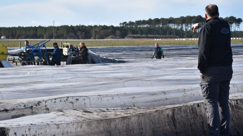 Le bon plan pour passer gratuitement une offre d’emploi