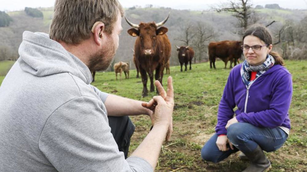 La MSA enverra avant le 30 avril votre taux d’emploi des handicapés