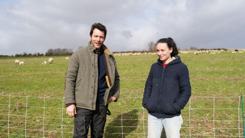 Sur les parcelles de Florian Gamé, Anaïs Hasselin déplace deux fois par jour son troupeau de 160 brebis menées en plein air intégral, dans des zones délimitées d’environ 1,5 ha. Les animaux passent la nuit dans le couvert, pour éviter un piétinement trop intense des céréales. Sur les parcelles de Florian Gamé, Anaïs Hasselin déplace deux fois par jour son troupeau de 160 brebis menées en plein air intégral, dans des zones délimitées d’environ 1,5 ha. Les animaux passent la nuit dans le couvert, pour éviter un piétinement trop intense des céréales.