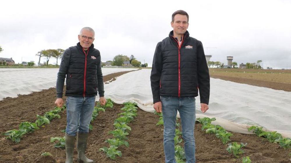 Prince de Bretagne tourné vers l’avenir