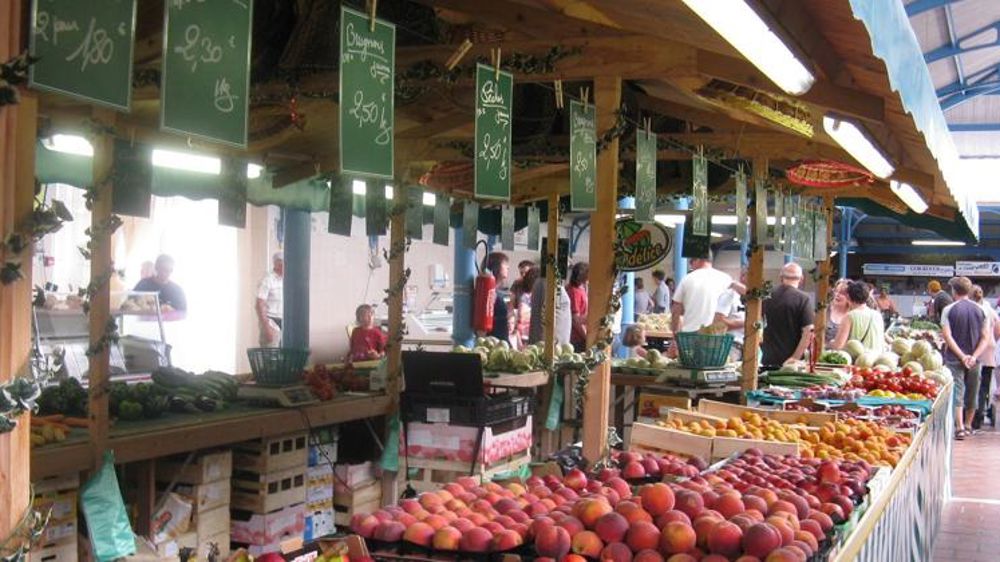 Les productions de pêches et d’abricots s’inclinent face au gel