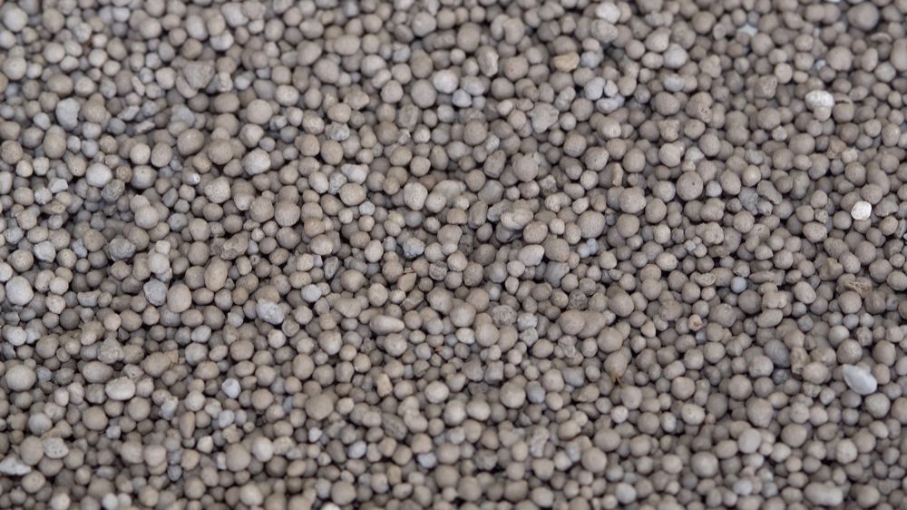 Les solutions pour limiter l’exposition des consommateurs au cadmium font débat