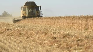 La hausse des productions de céréales et d’oléagineux se confirme pour 2021 La hausse des productions de céréales et d’oléagineux se confirme pour 2021