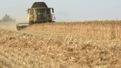 La hausse des productions de céréales et d’oléagineux se confirme pour 2021 La hausse des productions de céréales et d’oléagineux se confirme pour 2021