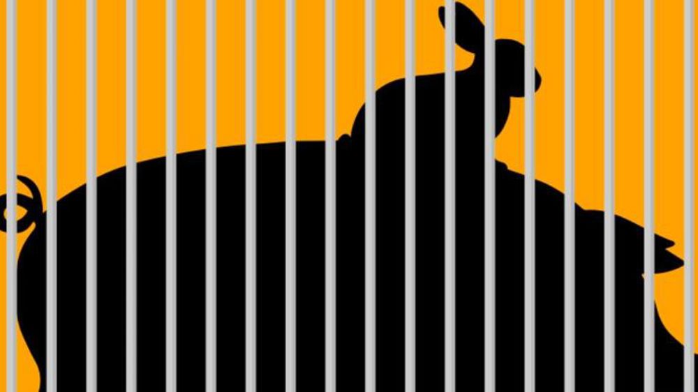 Les importations bon marché dans le viseur de Foodwatch