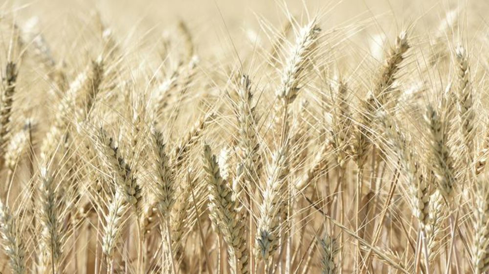 Les marchés mondiaux dans « l’incertitude »