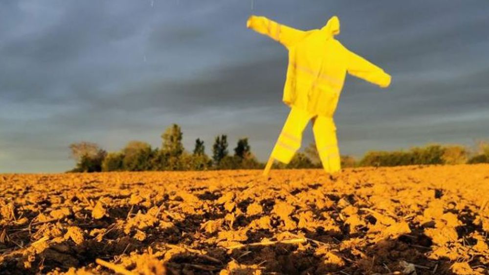 La pluie rythme les activités agricoles