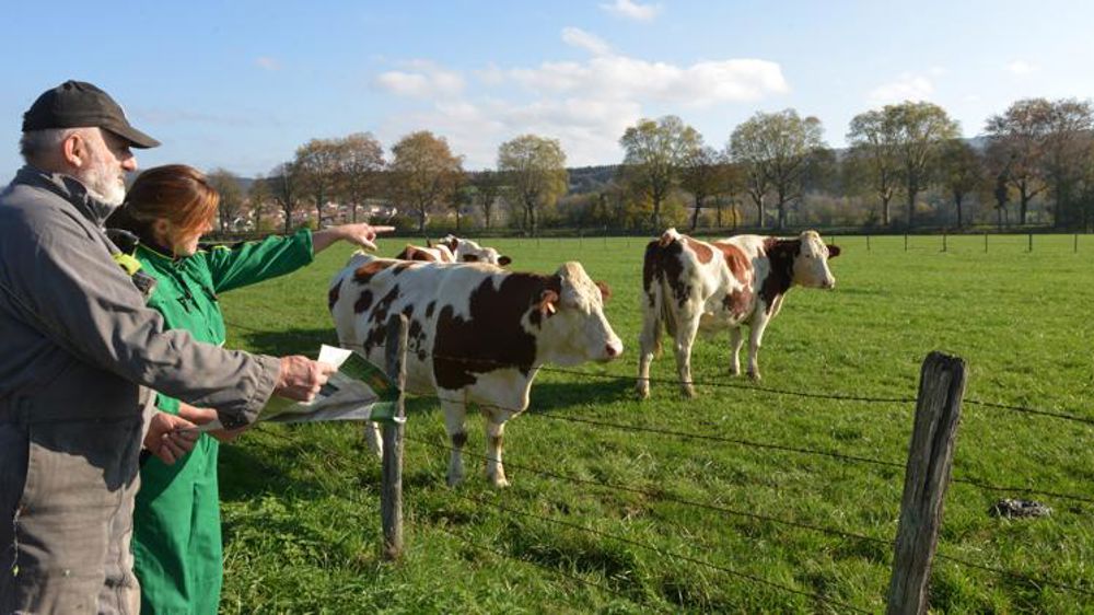 La filière laitière recrute !