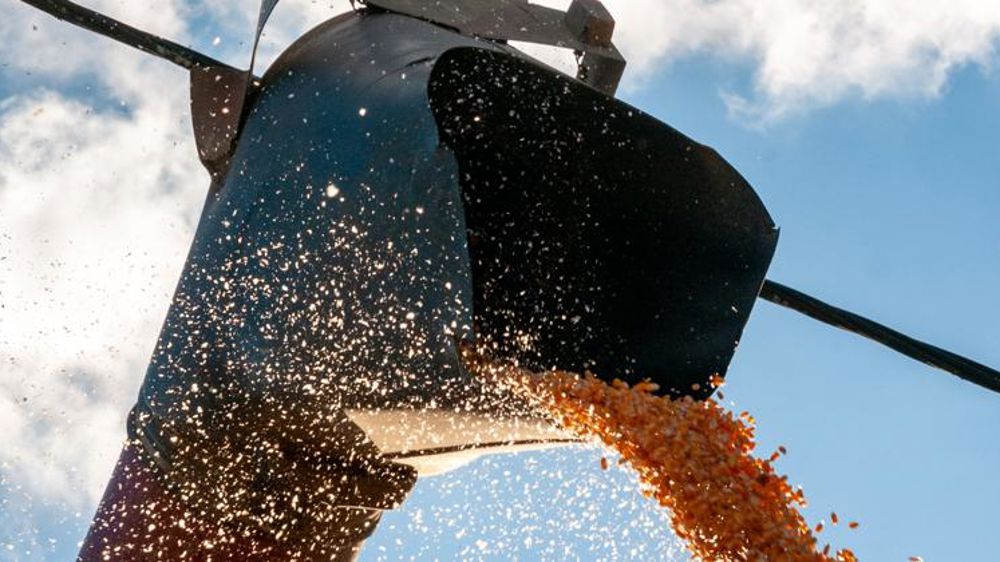 Les prix alimentaires mondiaux sont très hauts, selon la FAO