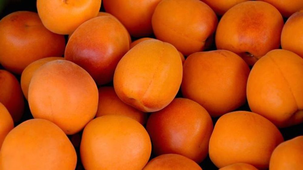 La production d’abricots s’annonce « historiquement basse »