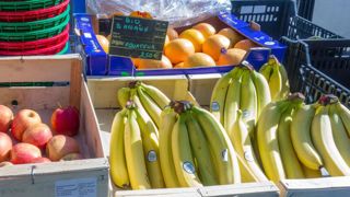 L’Europe a ralenti ses importations de produits bio en 2020 L’Europe a ralenti ses importations de produits bio en 2020