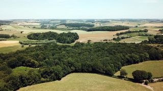 Les eurodéputés veulent aller plus loin sur la biodiversité Les eurodéputés veulent aller plus loin sur la biodiversité