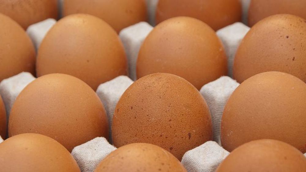 La production d’œufs a augmenté en mai 2021