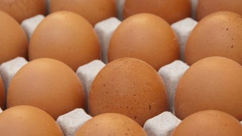 La production d’œufs a augmenté en mai 2021 La production d’œufs a augmenté en mai 2021
