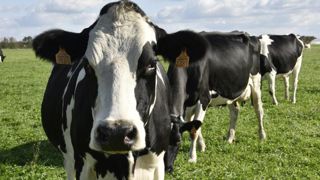 La nouvelle coopérative Innoval inquiète la Coordination rurale La nouvelle coopérative Innoval inquiète la Coordination rurale