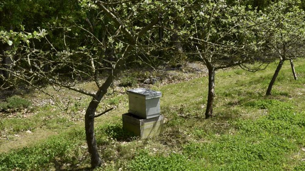 Crispations autour de l’arrêté « abeilles »