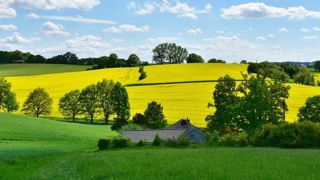 L’Allemagne vote la fin du glyphosate pour fin 2023 L’Allemagne vote la fin du glyphosate pour fin 2023