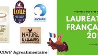 Le CIWF récompense trois entreprises françaises Le CIWF récompense trois entreprises françaises