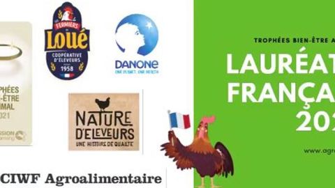 Le CIWF récompense trois entreprises françaises Le CIWF récompense trois entreprises françaises