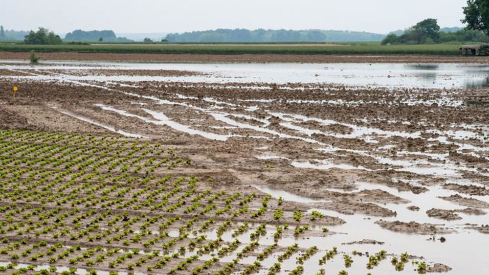 L’assurance climatique pourrait devenir obligatoire