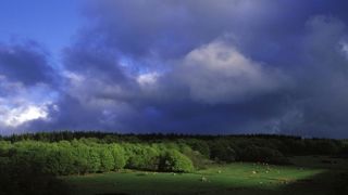Quelques précipitations vont ralentir la moisson samedi Quelques précipitations vont ralentir la moisson samedi