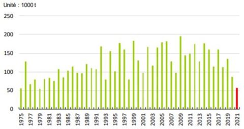 La production 2021 serait inférieure de 54 % à la moyenne des récoltes de 2016 à 2020. © Agreste
