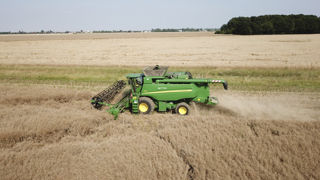 Le rendement moyen du colza dépasse les 35 q/ha Le rendement moyen du colza dépasse les 35 q/ha