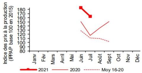 Les cours de la pêche du début de campagne sont supérieures à ceux de 2020 et à la moyenne des cours de 2016 - 2020. © Insee — Agreste