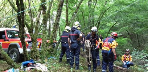 Les sapeurs-pompiers ont remonté les bêtes à l’aide d’un treuil. © SDIS 25