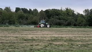 500 000 tonnes de betteraves à détruire 500 000 tonnes de betteraves à détruire