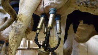 Un prix du lait européen à 357 €/1 000 litres en juin Un prix du lait européen à 357 €/1 000 litres en juin