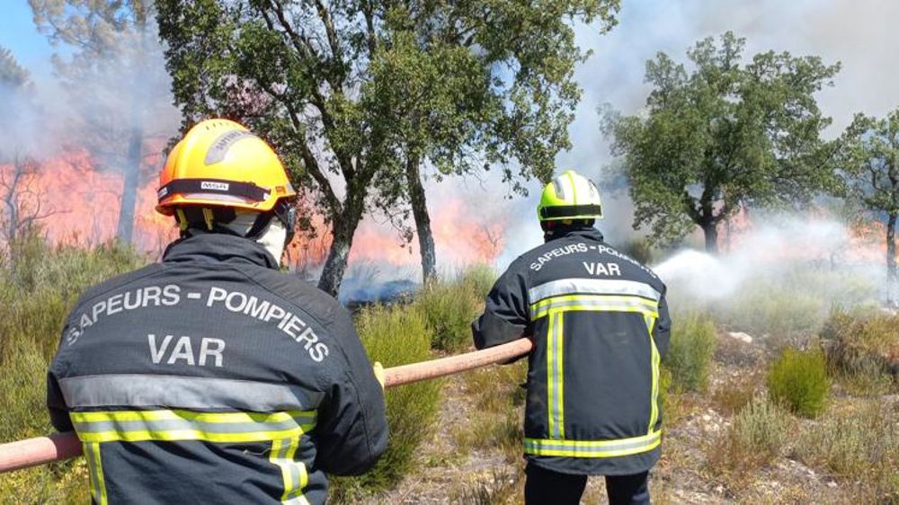 Des vignerons « anéantis » par les dégâts de l’incendie