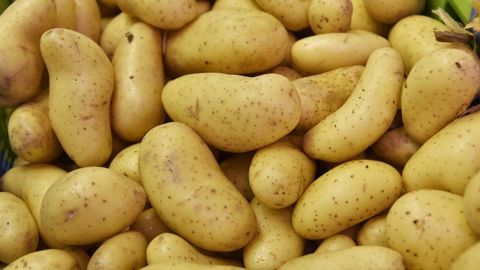 Des rendements de pommes de terre et de riz en hausse de 50 % Des rendements de pommes de terre et de riz en hausse de 50 %