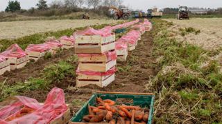 Jusqu’à 80 000 euros d’amende pour trafic de pesticide interdit Jusqu’à 80 000 euros d’amende pour trafic de pesticide interdit