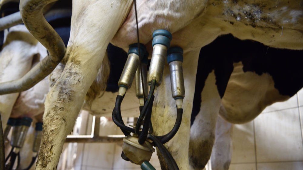 La hausse du prix du lait ne compense pas celle des charges