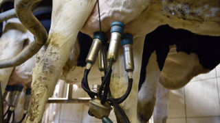 La hausse du prix du lait ne compense pas celle des charges La hausse du prix du lait ne compense pas celle des charges