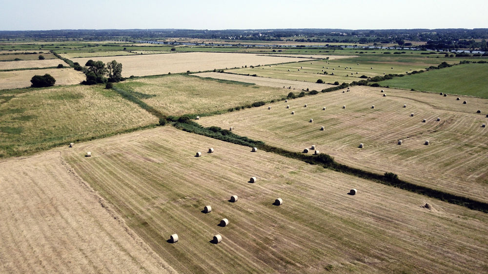 La stratégie « De la ferme à la fourchette » jugée « insoutenable »
