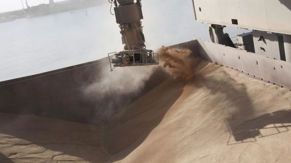 Nouvel affaissement des cours du blé tendre et du colza