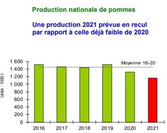 La production nationale de pommes françaises en 2021 est en recul par rapport à l’année 2020. © Agreste