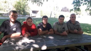Une louve pendue devant les portes de la mairie Une louve pendue devant les portes de la mairie
