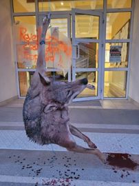 La louve retrouvée pendue devant la mairie de Saint-Bonnet-en-Champsaur le 24 septembre 2021 s’accompagnait du message : Réveillez-vous, c’est déjà trop tard !!