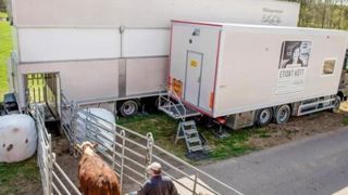 Des éleveurs reprennent en main l’abattage de leurs animaux Des éleveurs reprennent en main l’abattage de leurs animaux