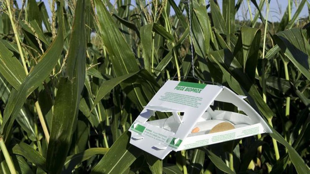 La définition du biocontrôle consolidée