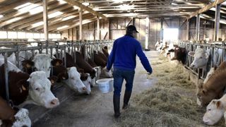 La productivité du travail n’a pas permis d’améliorer le revenu La productivité du travail n’a pas permis d’améliorer le revenu