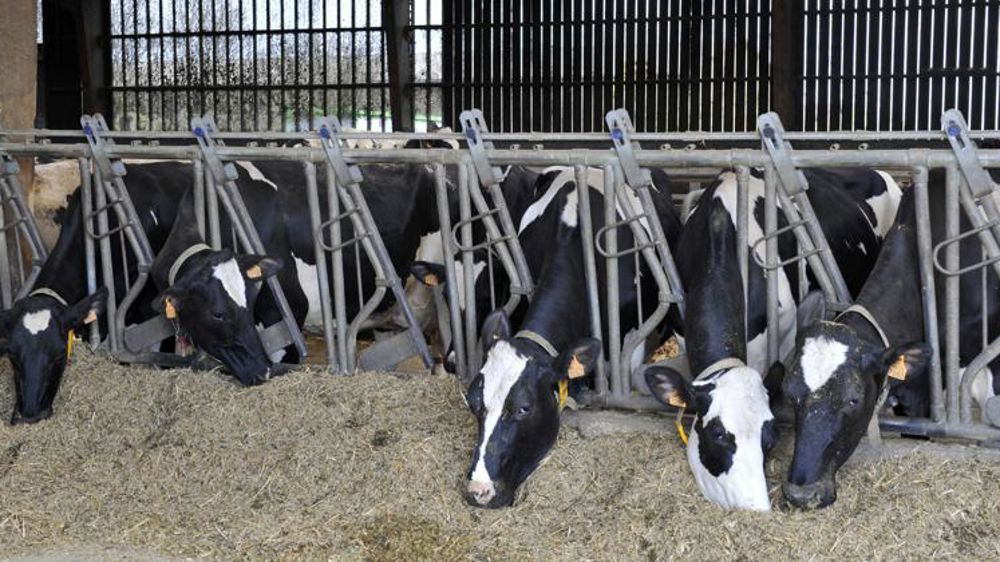 Plus de 80 pays s’engagent à réduire leurs émissions de méthane