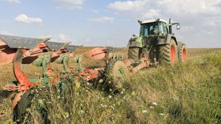 Le retournement des prairies permanentes toujours soumis à autorisation Le retournement des prairies permanentes toujours soumis à autorisation